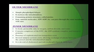 F.Y.B.Sc & T.Y.B.Sc BOTANY CHLORPLAST, MITICHONDRIA & ENDOPLASMIC RETICULUM