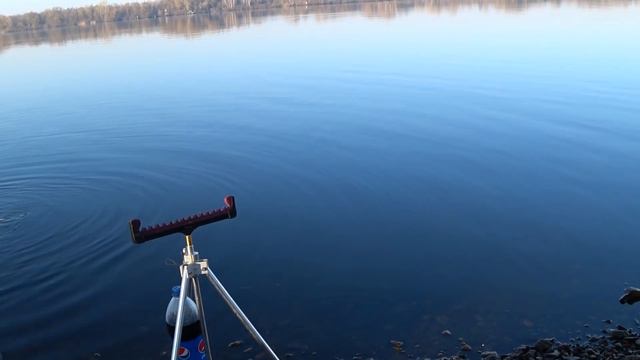 Лещ весной на фидер.  Рыбалка на Днепре