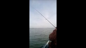 джиг с дайвой вулкан