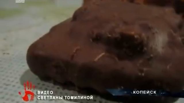 Печенье с начинкой из червей купили в Копейске смотреть онлайн