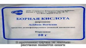 Инструкция по обработке помидоров от фитофторы йодом и борной кислотой: боремся с заболеванием быс.