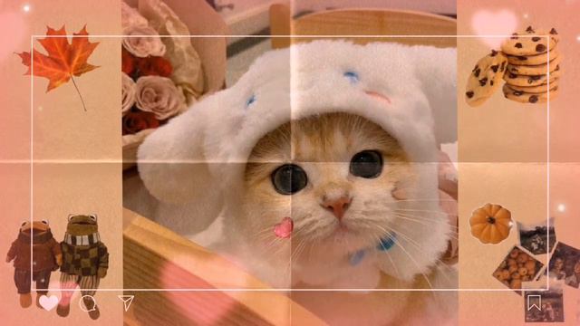 ♡new era♡мощный манифест котенка🐈⬛|| саблиминал смотреть онлайн
