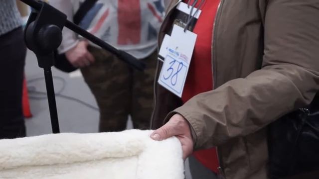 Чем очистить подстилку от меток кота. Удалить метки кота. смотреть онлайн