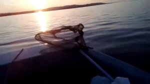 Кайман 300 на глиссере