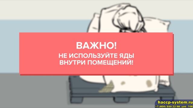 Пест-контроль, виды опасностей и полный анализ рисков