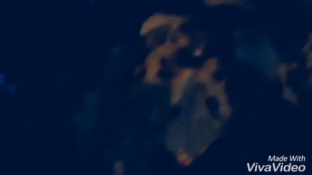 Вот уже так рано темнеет смотреть онлайн