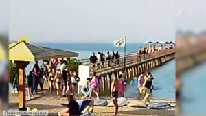 Нападение акулы на женщину в Египте: шокирующие кадры