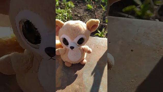 Фиалка и цветы vs Бананчик и анекдоты. смотреть онлайн