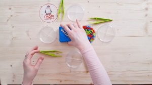 Спасительная вакцина. Настольная игра на логику и быстроту реакции