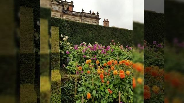 284. КИТАЙСКИЙ САДИК МРАЧНОГО ВИКТОРИАНСКОГО ОСОБНЯКА. САДЫ АНГЛИИ. смотреть онлайн