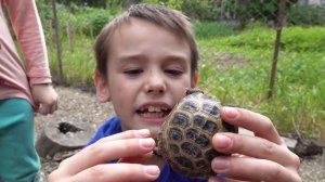 КУРЯТНИК привет соседа КАКИХ ЖИВОТНЫХ он себе завел