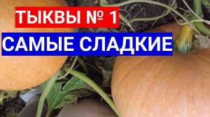 ТЫКВЫ № 1 В МОЕЙ КОЛЛЕКЦИИ - САМЫЕ СЛАДКИЕ СОРТА