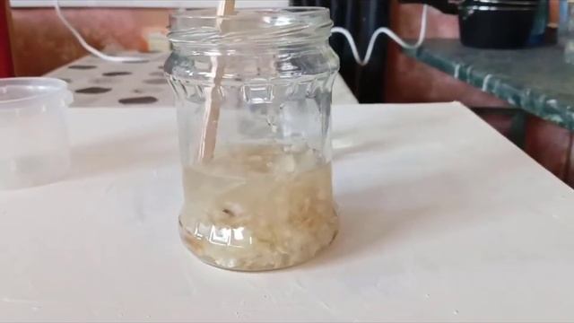 КЛЕЙ ОСЕТРОВЫЙ - как приготовить