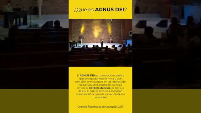 Agnus Dei Ricardo Arias, Concepción 2017