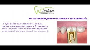Что такое коронки и в каких случаях их нужно устанавливать