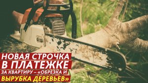 Новая строчка в платежке за квартиру – «обрезка и вырубка деревьев».