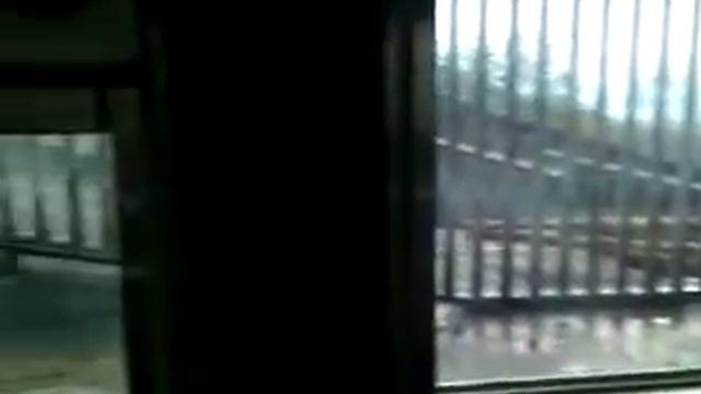 Кормление японских медведей в Ноборибецу смотреть онлайн