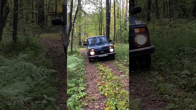 Для чего нужна Нива? ? смотреть онлайн