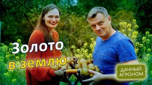 СДЕЛАЙ ЭТО ОСЕНЬЮ И ЗЕМЛЯ СТАНЕТ КАК ХЛЕБ