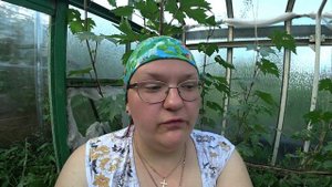 Стоит ли выращивать землянику в теплице?