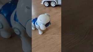 Собака-робот Chappi