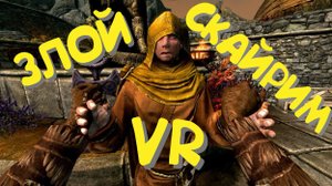 ЗЛОЙ SKYRIM VR