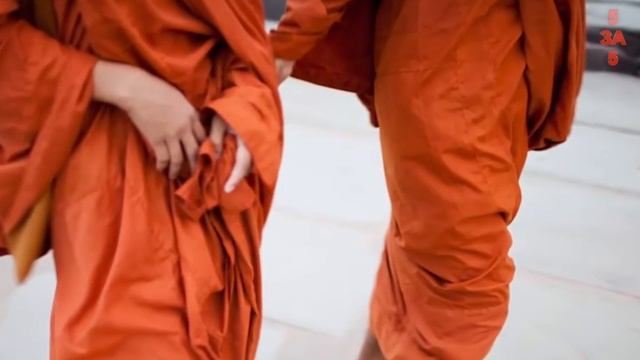 Самая дорогая СПЕЦИЯ в мире, которая скорей всего растет у вас в полисаднике! смотреть онлайн