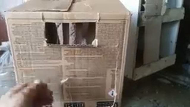 почтовые спортивные голуби - тренировка и не только смотреть онлайн