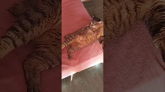 иди лучше в душ смотреть онлайн