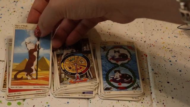 МОИ КОЛОДЫ С КОТАМИ.ОДНА?ДВЕ?МОЙ ТОП-6!МЯУ И МУРК ТАРО.