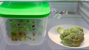 Умный холодильник 4,4 Л Tupperware-spb.ru