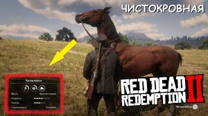 Где НАЙТИ самую РЕДКУЮ ЧИСТОКРОВНУЮ лошадь в Red Dead Redemption 2
