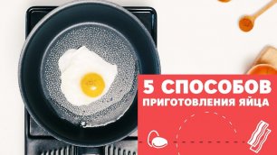 5 способов приготовления яйца [eat easy]