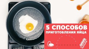 5 способов приготовления яйца [eat easy]