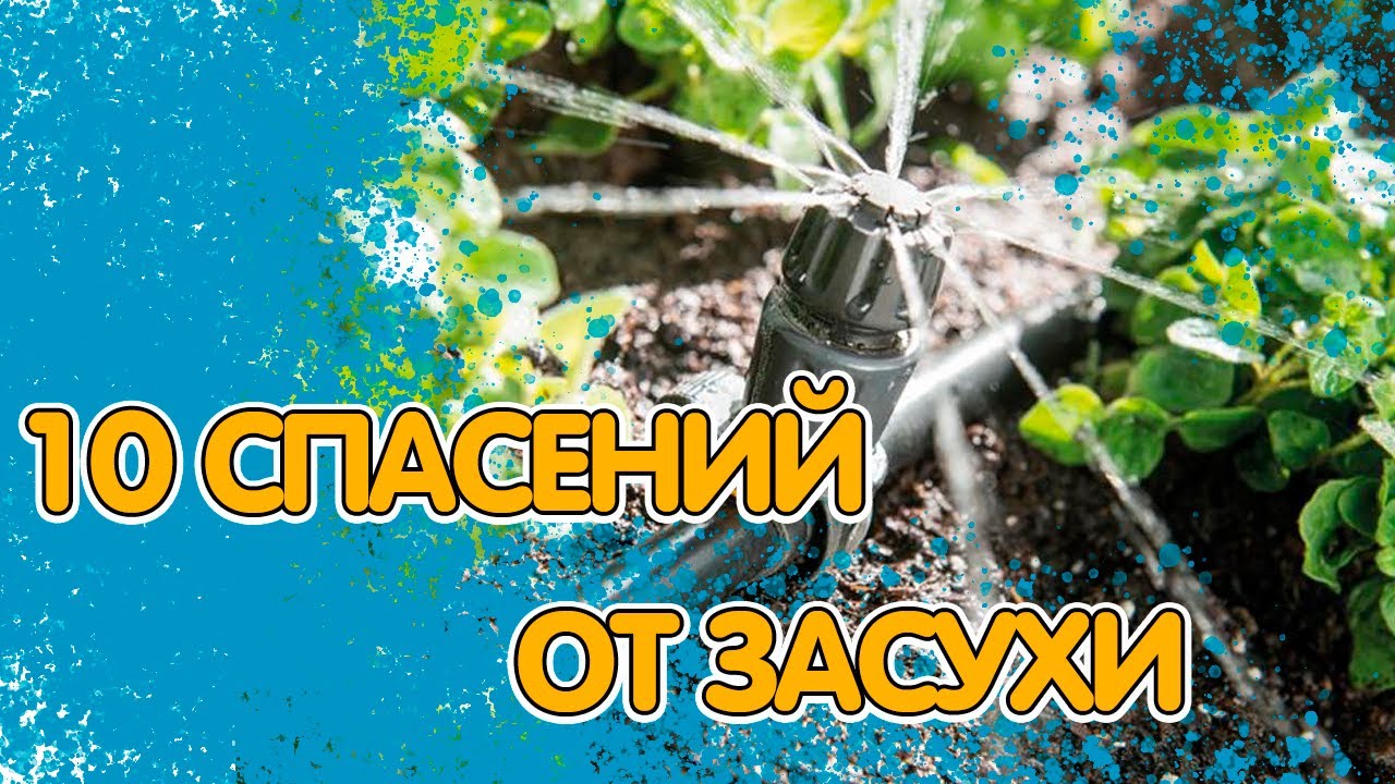 КАК ИЗБЕЖАТЬ ЗАСУХИ НА УЧАСТКЕ И СОХРАНИТЬ ВЛАГУ В ПОЧВЕ: 10 ПРОСТЫХ РЕШЕНИЙ смотреть онлайн