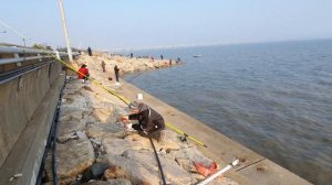 Ловим кефаля на дергач. #숭어 낚시. #Поймал 3 Пеленгаса на дергач