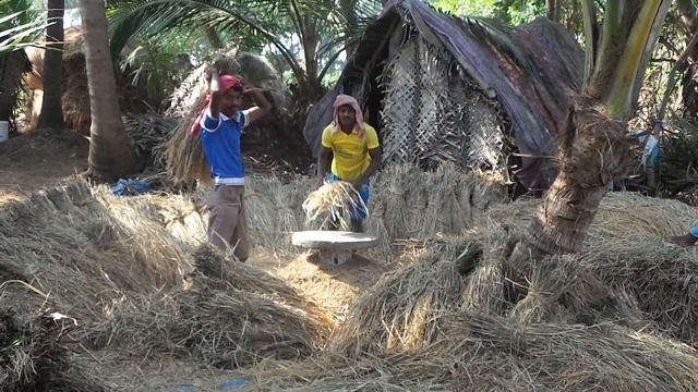 Где лучший рис в Индии? смотреть онлайн