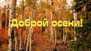 Осенняя открытка. Душевные пожелания