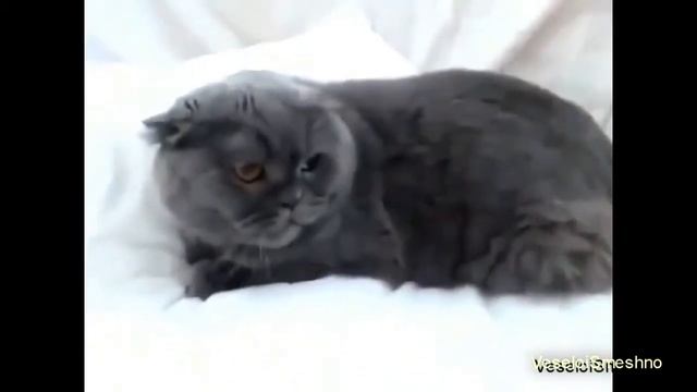 ВОЗМУЩЕНИЕ