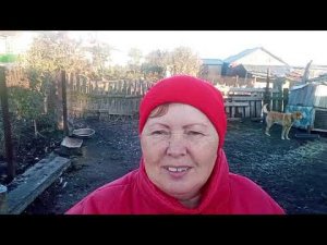 Жизнь  в деревне.Хроника дня 18.10.23