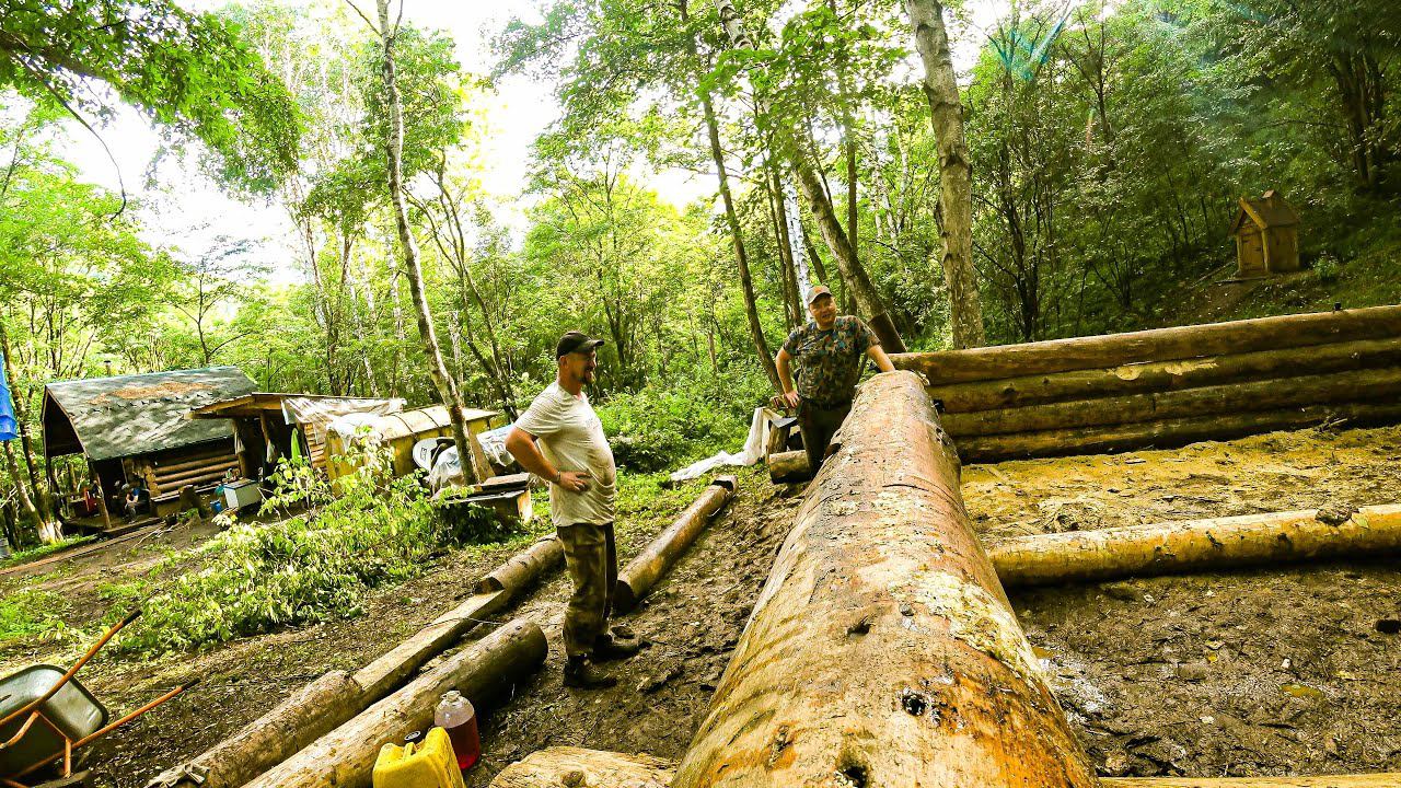 ПЯТЬ ВЕНЦОВ С НУЛЯ ЗА ДВА ДНЯ, УДАЛОСЬ СКИДАТЬ СО СТАРОГО ЗИМОВЬЯ. смотреть онлайн