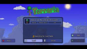 How To Play Terraria Mobile Multiplayer (Tutorial)