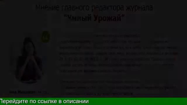 Где Купить Грибы Для Выращивания