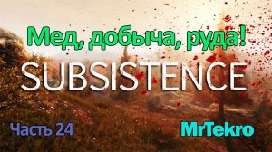 Subsistence (Часть 24! Мед, добыча,  руда!)