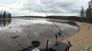 ВЕСЕННЯЯ ПЛОТВА НА ФИДЕР  | ЗАЛИВЫ КАМЫ 2022