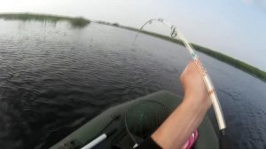 Трофейная щука. личный рекорд