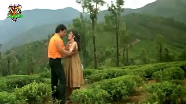 Mahiya Teri Kasam (Remix DJ JILANE KHAN) Movie-Ghayal 1990 смотреть онлайн