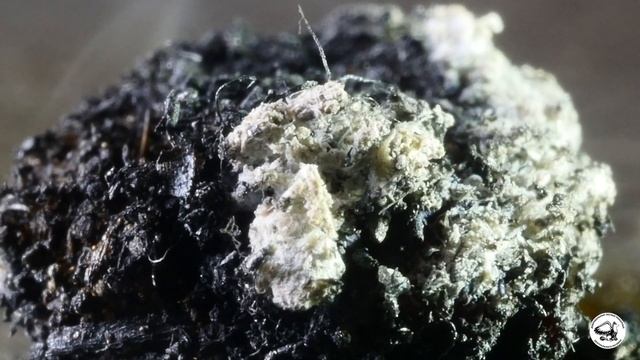 Так горит торф смотреть онлайн