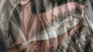 Шикарная Рыбалка /Севастополь/Чёрное море/Камышевая Бухта / Пятница 12 апреля 2019 г.