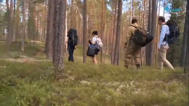 Водлозерский - охраняемые территории. Неделя Карелии. Открывай Россию с АЛЕАН смотреть онлайн